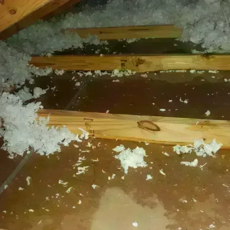 Attic Water Damage in Lawtell, LA