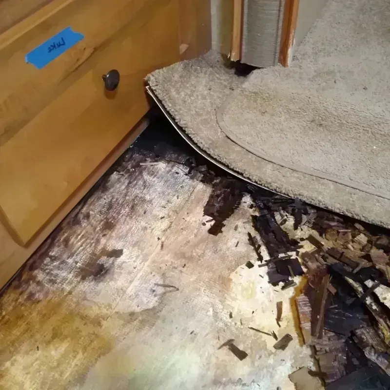 Best Wood Floor Water Damage Service in Lawtell, LA